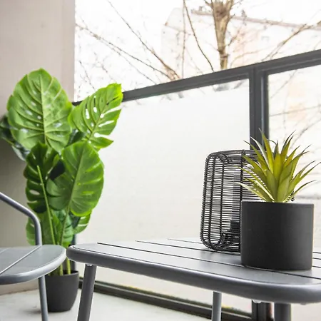 Nouveau - L'eclat - Stade Meinau *