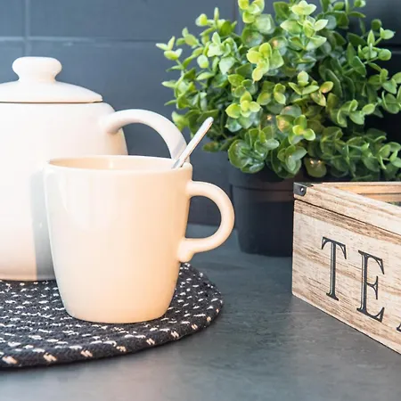 Daire Nouveau - L'eclat - Stade Meinau *