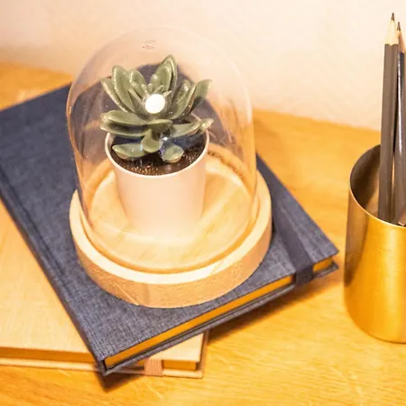 Nouveau - L'eclat - Stade Meinau